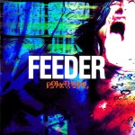 RIFF054 - Feeder - Polythene